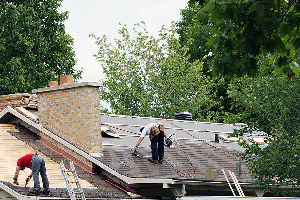 Best Storm Damage Roof Repair  in Quail Creek, TX